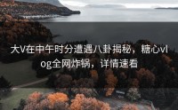 大V在中午时分遭遇八卦揭秘，糖心vlog全网炸锅，详情速看