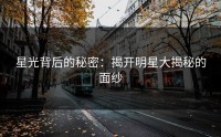 星光背后的秘密：揭开明星大揭秘的面纱