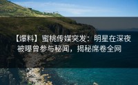 【爆料】蜜桃传媒突发：明星在深夜被曝曾参与秘闻，揭秘席卷全网