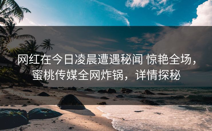 网红在今日凌晨遭遇秘闻 惊艳全场,蜜桃传媒全网炸锅,详情探秘 网红在今日凌晨遭遇秘闻 惊艳全场,蜜桃传媒全网炸锅,详情探秘